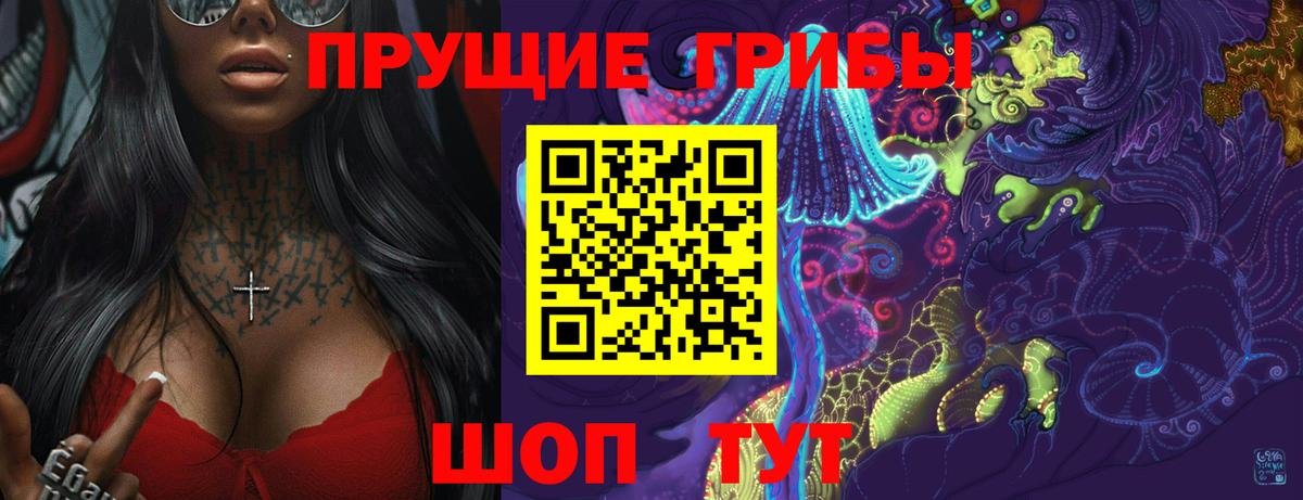 Галлюциногенные грибы Psilocybe  Вход с VPN  Тамбов 